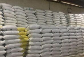 کشف ۱۸ تن برنج احتکار شده از یک انبار در لاهیجان/متهم در اختیار اداره تعزیرات حکومتی قرار گرفت