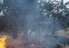 آتش سوزی جنگل‌های تالش و رضوانشهر
