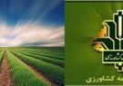 آخرین مهلت بیمه چای و برنج در گیلان