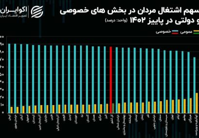 بیش از ۹۰ درصد مردان در گیلان از بخش خصوصی حقوق می گیرند