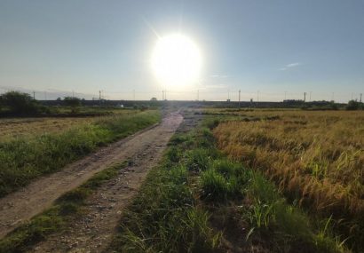 آسمانی آفتابی و افزایش نسبی دما تا اواخر هفته پیش رو در گیلان