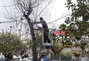 آماده باش نیروهای عملیاتی سازمان سیما، منظر و فضای سبز شهری شهرداری رشت