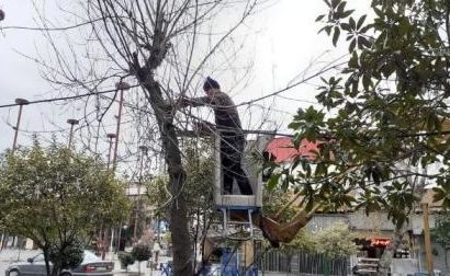 آماده باش نیروهای عملیاتی سازمان سیما، منظر و فضای سبز شهری شهرداری رشت