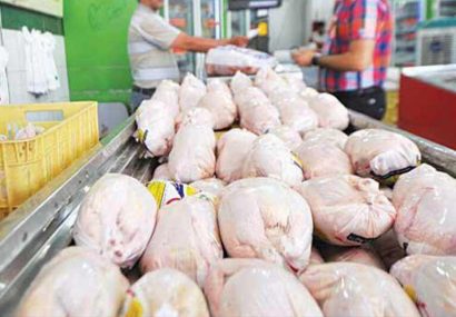 توقیف محموله مرغ‌های بدون مجوز حمل در رودبار