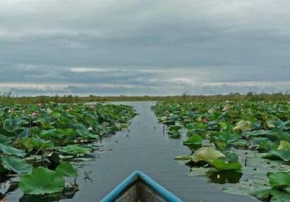 تالاب انزلی بی نصیب از انتقال تکنولوژی ژاپن