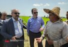 بازدید مسئولان از مزارع شلمان | خرمی: کشاورزان نگران نوبت بندی آب نباشند