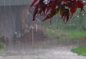 سقف گیلان چکه خواهد کرد