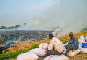 هشدار به دلیل افزایش حجم آتش سوزیهای احتمالی در شالیزارهای گیلان هشدار به دلیل افزایش حجم آتش سوزیهای احتمالی در شالیزارهای گیلان