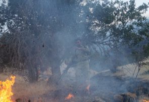 ادامه آتش سوزی یک هکتار از مناطق جنگلی و ییلاقی کرف گردن املش