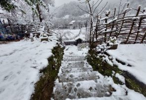پیش بینی هواشناسی گیلان طی روزهای آینده | بارش برف و باران تا ظهر فردا در گیلان ادامه دارد