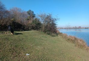 افزایش دما و وزش باد گرم در گیلان