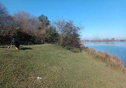 افزایش دما و وزش باد گرم در گیلان