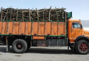 توقیف کامیون حامل چوب قاچاق در لاهیجان