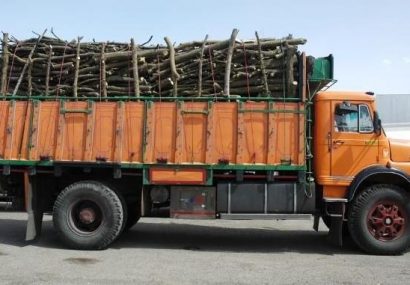 توقیف کامیون حامل چوب قاچاق در لاهیجان