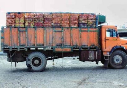 کشف بیش از ۵ تن مرغ قاچاق در صومعه سرا