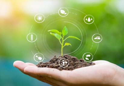 ۱۶ هزار کشاورز گیلانی محصولات کشاورزی شان را بیمه کردند ۱۶ هزار کشاورز گیلانی محصولات کشاورزی شان را بیمه کردند