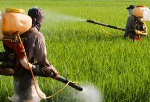 کشاورزان گیلانی برای دریافت سهمیه کود شیمایی خود اقدام کنند