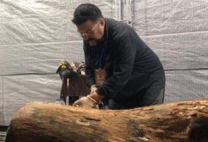 نمایش مجسمه های چوبی در لاهیجان