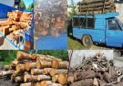 کشف بیش از ۵۳ تن چوب قاچاق در تالش! کشف بیش از ۵۳ تن چوب قاچاق در تالش!