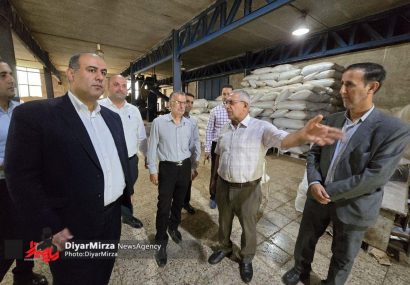 ۶۸ درصد مطالبات چایکاران لنگرودی پرداخت شد ۶۸ درصد مطالبات چایکاران لنگرودی پرداخت شد