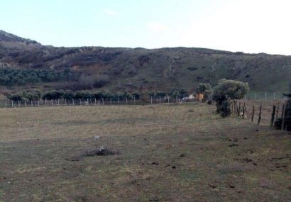 کشف زمین خواری ۱۲۰ میلیارد ریالی در رودبار