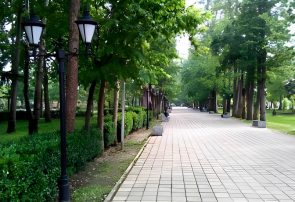 توسعه فضاهای سبز شهری