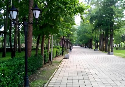 توسعه فضاهای سبز شهری