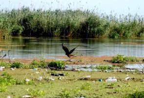 حل معضل فاضلاب گیلان و احیای تالاب انزلی مستلزم تامین اعتبارات کلان