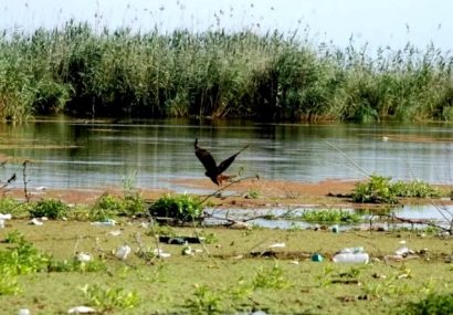 حل معضل فاضلاب گیلان و احیای تالاب انزلی مستلزم تامین اعتبارات کلان