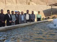 افتتاح واحد پرورش ماهیان سردابی در زندان رودبار؛ گامی مؤثر در مسیر اشتغال زندانیان و حمایت از خانواده های نیازمند افتتاح واحد پرورش ماهیان سردابی در زندان رودبار؛ گامی مؤثر در مسیر اشتغال زندانیان و حمایت از خانواده های نیازمند