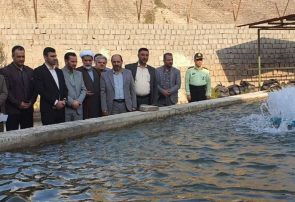 افتتاح واحد پرورش ماهیان سردابی در زندان رودبار؛ گامی مؤثر در مسیر اشتغال زندانیان و حمایت از خانواده های نیازمند