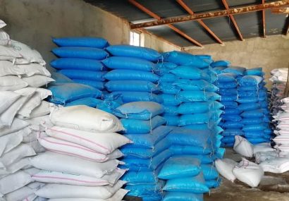 توزیع ۵۵ درصد کود شیمیایی یارانهای درگیلان توزیع ۵۵ درصد کود شیمیایی یارانهای درگیلان