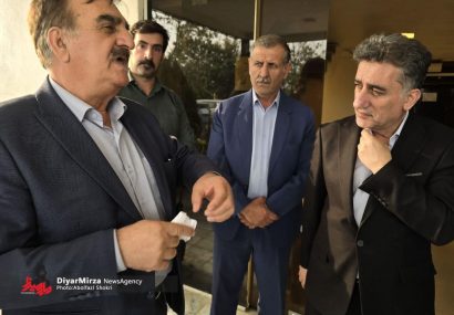 تنها حدود ۱۰ تا ۲۰ درصد پرتقال‎های گیلان وارد چرخه فرآوری می‌شود