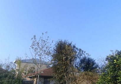 ثبات جوی در گیلان؛ فعلاً بارانی در کار نیست!