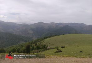 پایداری نسبی هوای گیلان تا ۴۸ ساعت آینده؛ هشدار وزش باد در ارتفاعات