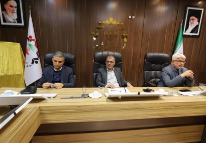 غرس ۷ هزار اصله درخت در رشت؛ کاشت گونه‌های بلندقامت و سایه‌گستر در اولویت قرار بگیرد