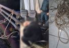 پیشگیری از خودکشی با اقدام به موقع پلیس فومن | نجات مرد جوان ۳۵ ساله