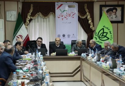 لاهیجان می‌تواند پایتخت تجارت چای کشور شود | رانت در واردات است نه در صادرات