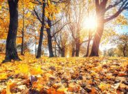 پایداری هوای گیلان در روز های پایانی پاییز و اغازین زمستان