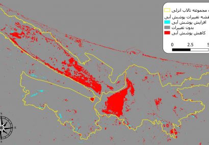زمان علیه تالاب انزلی است؛ ضرورت تصمیم‌های فوری برای نجات یک اکوسیستم