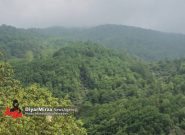 هوای گیلان امروز و فردا در بیشتر ساعات پایدار است؛ افزایش ۲ تا ۴ درجه‌ای دما در گیلان